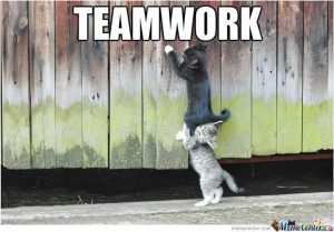 teamwork_o_1053401